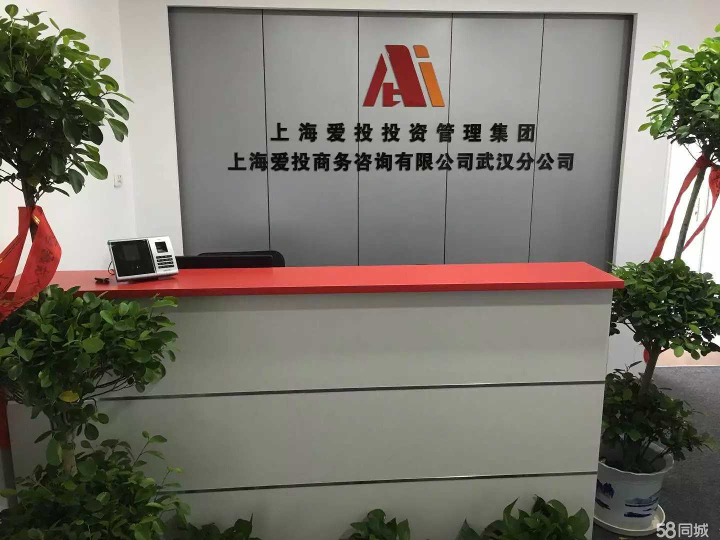 专业投资咨询服务 上海爱投商务咨询武汉分公司的核心价值与实践